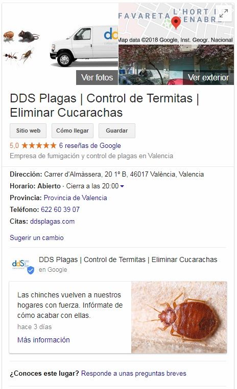 ficha google my business