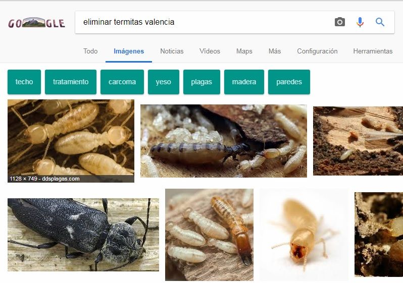 imagen geocalizada en google