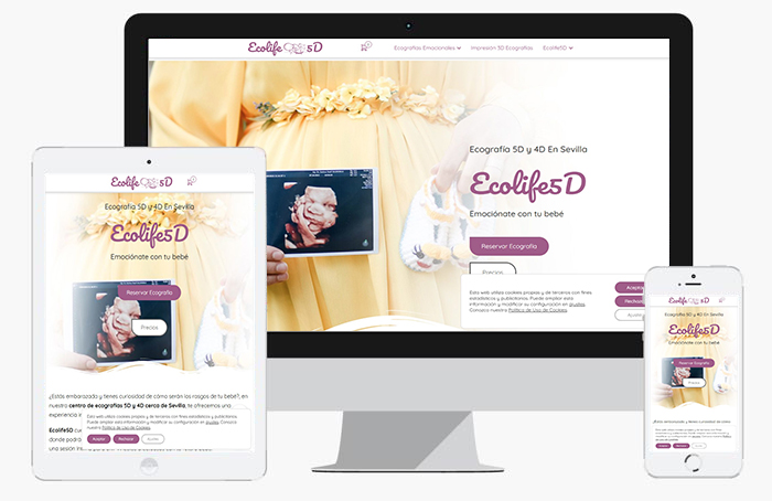 posicionamiento web empresa ecografia